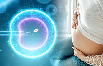 Fertility Treatments